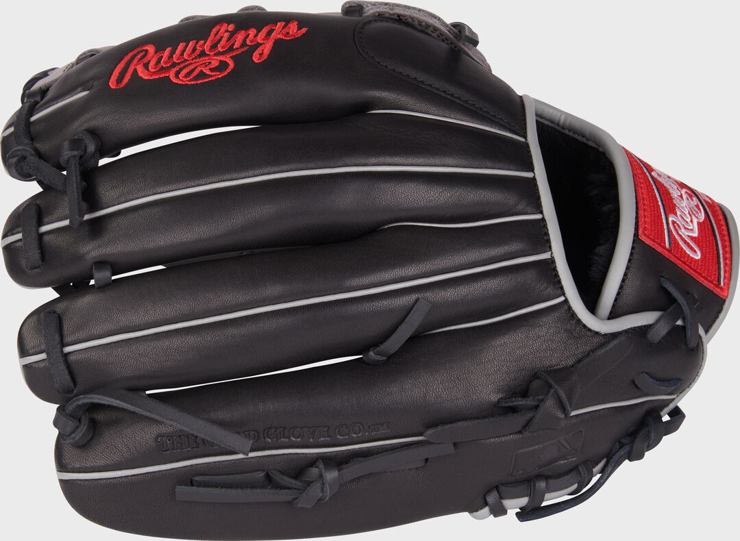 Foundation Series Aaron Judge Youth IF/OF Glove - Rawlings