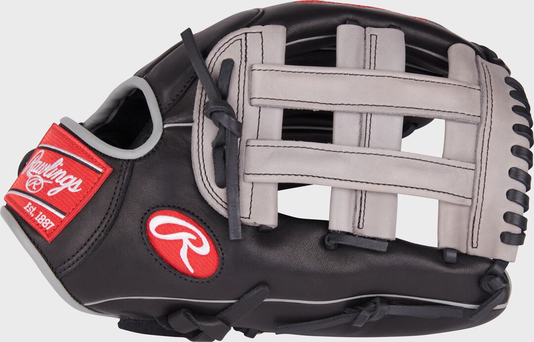 Foundation Series Aaron Judge Youth IF/OF Glove - Rawlings