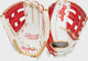 White/Scarlet