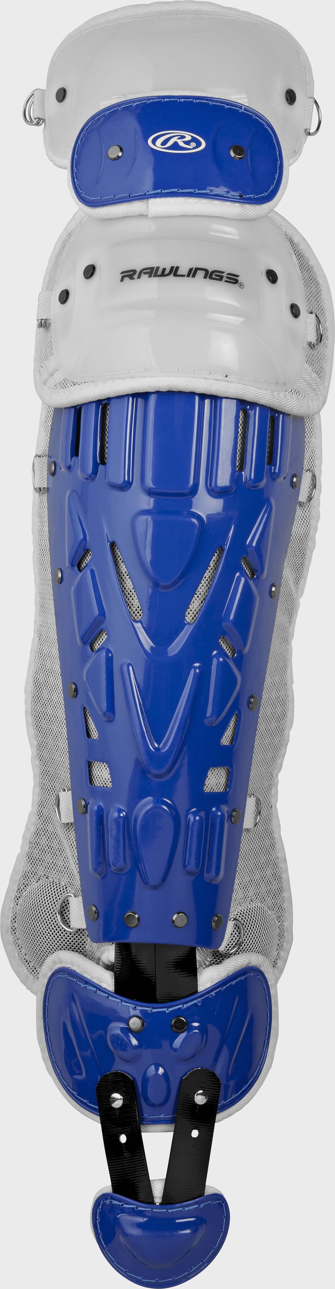 Royal/White,Adult